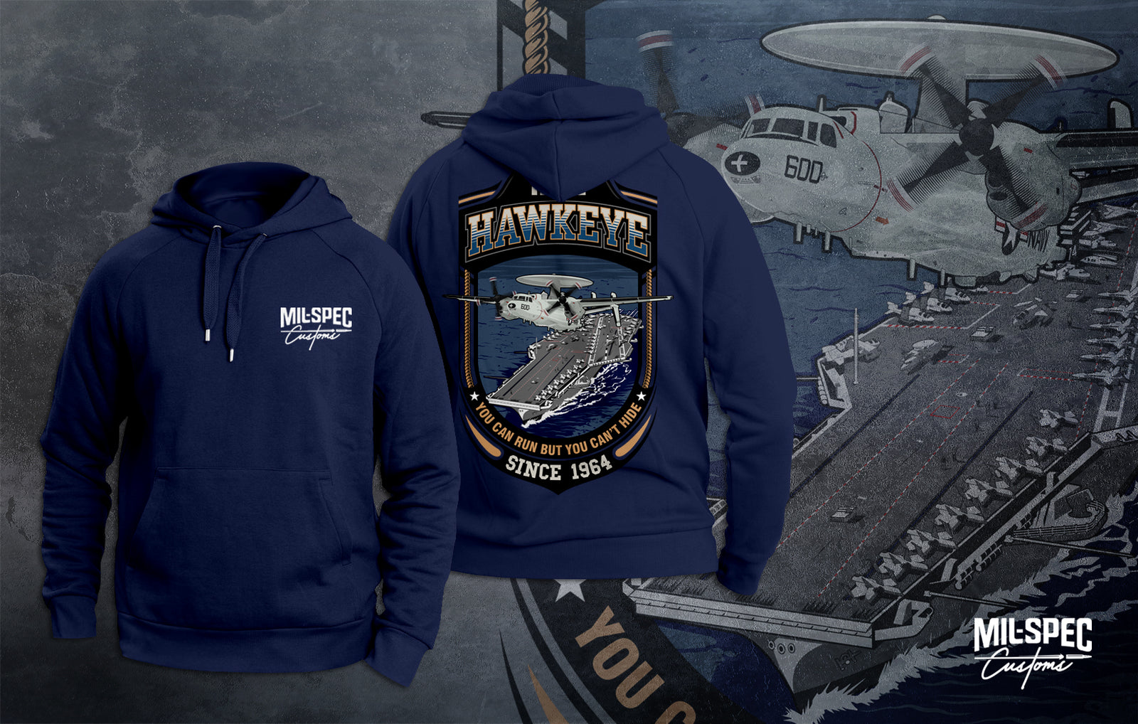 E-2 Hawkeye & C-2A Greyhound