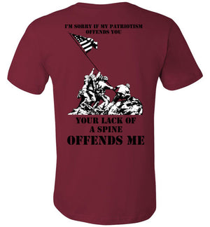 I'M SORRY IF MY PATRIOTISM OFFENDS YOU - Mil-Spec Customs