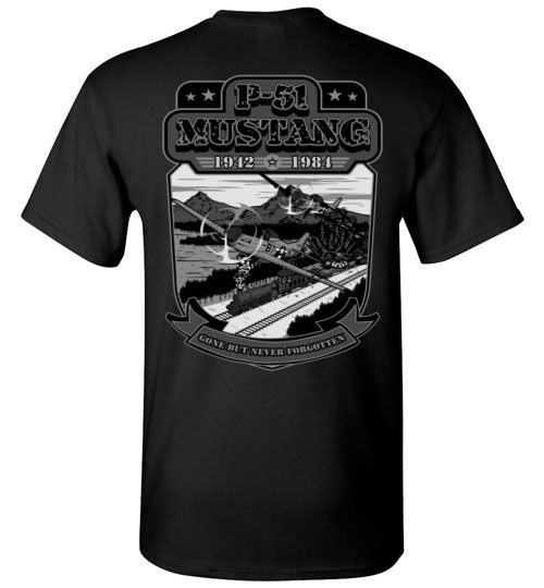 P-51 Mustang Gone But Never Forgotten