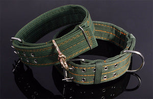 Super Tough Military Dog Collar with Free Shipping - Mil-Spec Customs