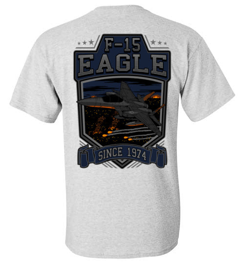 F-15 EAGLE SINCE 1974